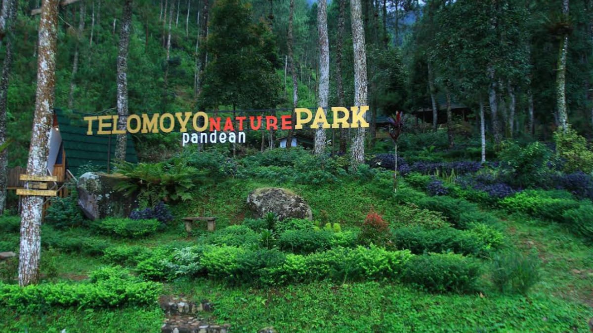 Jelajahi Pesona Telomoyo Nature Park, Surga Alam di Jawa Tengah