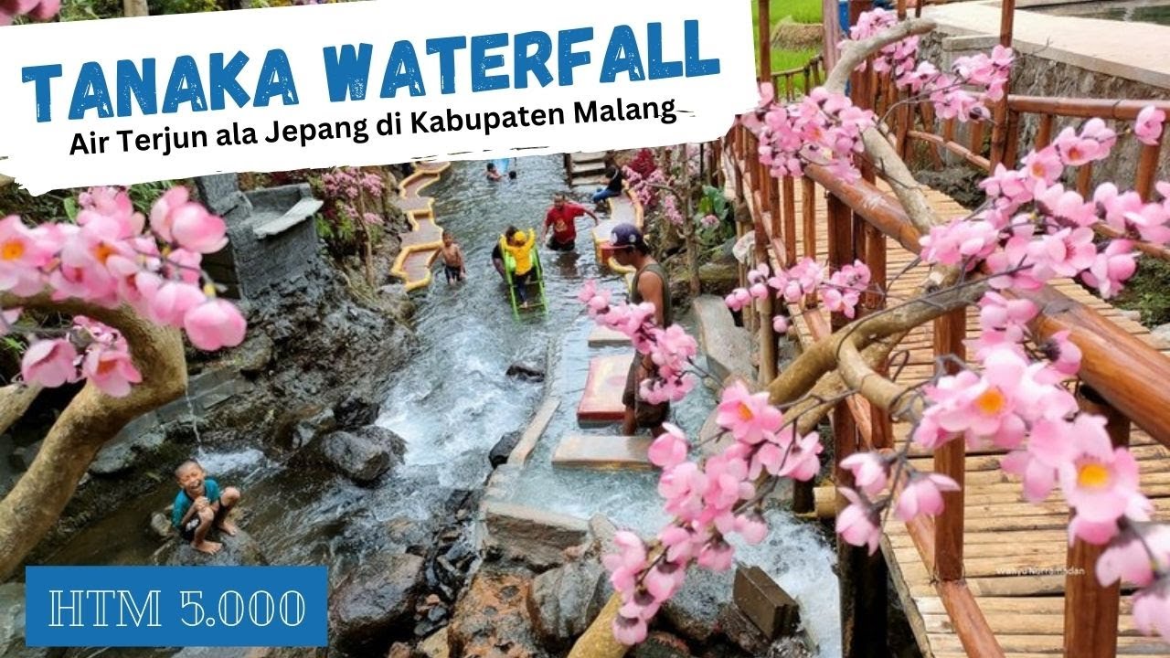 Wisata Air Terjun Tanaka: Keindahan Alam dan Aktivitas Menarik